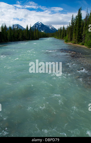 Whirlpool-Fluss, Jasper Nationalpark, Alberta, Kanada Stockfoto