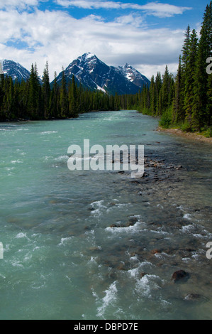 Whirlpool-Fluss, Jasper Nationalpark, Alberta, Kanada Stockfoto