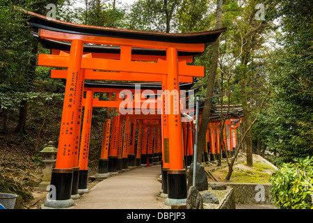 Die endlosen roten Tore (Torii) Kyotos Fushimi Inari Schrein, Kyoto, Japan, Asien Stockfoto