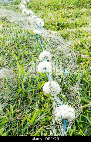 Fischernetz auf dem Rasen am liegenden Strand. Stockfoto