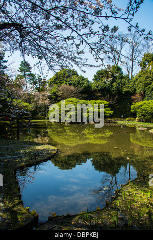 Okazaki-Park in der Heian Jingu Schrein, Kyoto, Japan, Asien Stockfoto