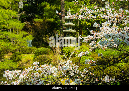 Okazaki-Park in der Heian Jingu Schrein, Kyoto, Japan, Asien Stockfoto