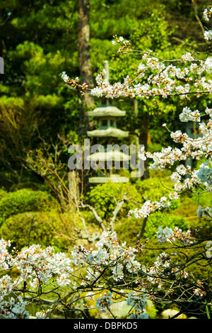 Okazaki-Park in der Heian Jingu Schrein, Kyoto, Japan, Asien Stockfoto