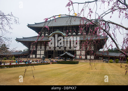 Todaiji Tempel, UNESCO-Weltkulturerbe, Nara, Kansai, Japan, Asien Stockfoto