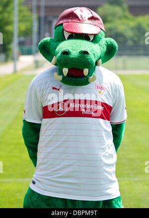 Deutsche Fußball Bundesliga Club VfB Stuttgart Maskottchen stellt Fritzle während der offiziellen Fototermin für die Saison 2013 / 14 in Stuttgart, am 10. Juli 2013. Foto: Daniel Bockwoldt/dpa Stockfoto