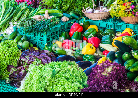 Eine farbenfrohe Frische Produkte Stall zu verkaufen mediterraner Salat Gemüse auf dem Markt in der Place Guillaume II in Luxemburg. Stockfoto