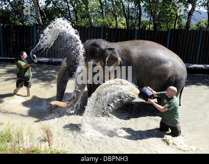 Zoo Usti Nad Labem, Tschechische Republik. 2. August 2013. Weibliche asiatische Elefanten Kala und Delhi werden durch ihre Pfleger Petr Kiebel (links) und Jan Javurek (rechts) in Usti Nad Labem Zoo, Tschechische Republik, am 2. August 2013 gekühlt. Bildnachweis: Libor Zavoral/CTK Foto/Alamy Live-Nachrichten Stockfoto