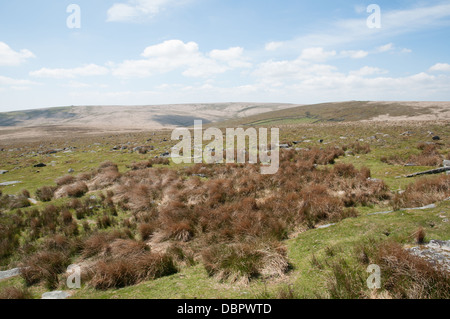 Ansicht West in Richtung Huntigdon Warren von Pupers Hill Dartmoor Stockfoto