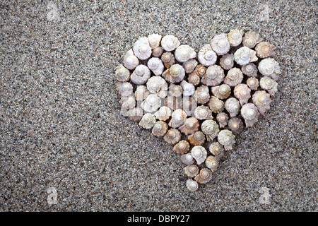 Meer Muscheln Herz auf sandigen Strand Hintergrund. Sommer-Komposition mit Textfreiraum. Ansicht von oben Stockfoto