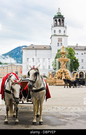 elegante Pferde warten auf eine Fahrt am Residenzplatz in Salzburg, Österreich Stockfoto