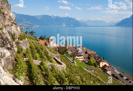 St. Saphorin, Schweiz Stockfoto