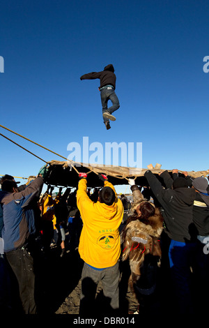 Decke werfen bei Inupiat Nalukataq Walfang Festival, Barrow, Alaska, Eskimos Stockfoto