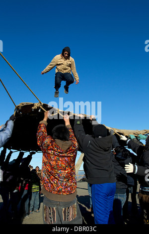 Decke werfen bei Inupiat Nalukataq Walfang Festival, Barrow, Alaska, Eskimos Stockfoto