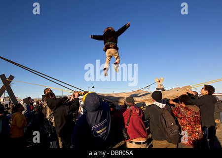 Decke werfen bei Inupiat Nalukataq Walfang Festival, Barrow, Alaska, Eskimos Stockfoto