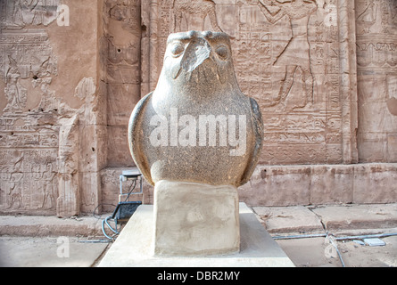 Statue des Horus in Edfu Tempel, Ägypten Stockfoto