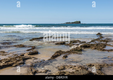 Vulkanischen Basaltfelsen Mudjimba Beach an Sunshine Coast, Queensland, Australien Stockfoto