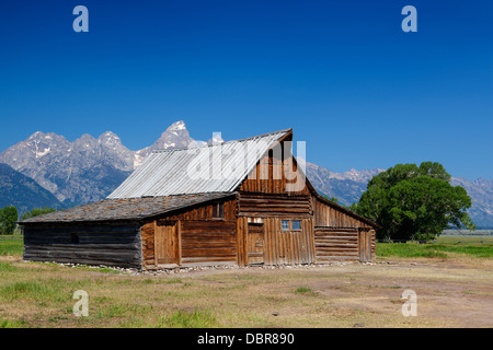 Die legendäre Moulton Scheune auf Mormone Zeile in Grand Teton Nationalpark, Wyoming Stockfoto