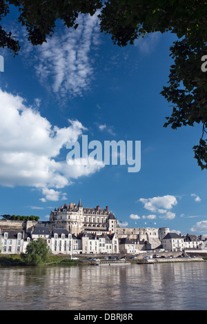Château d'Amboise & der Stadt bei sonnigem Wetter aus über den Fluss Loire, Frankreich. Stockfoto