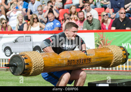 Gateshead, UK. 3. August 2013. Riesen Leben British Open-World Championship "World es Strongest Man" Qualifying Tour in Gateshead International Stadium. Konkurrenten zählten Laurence Shahlaei, Terry Hollands, Simon Johnson. Mark Felix, Lloyd Renals, Eddie Hall, James Fennelly, Graham Hicks, Jerry Pritchett, Robert Oberst, Luke "Highland Eiche" Stoltman und Ovynd zu zügeln. Bildnachweis: Thomas Jackson/Alamy Live-Nachrichten Stockfoto