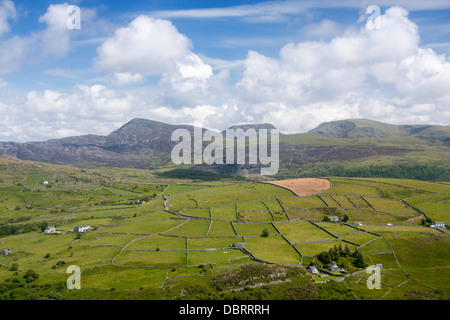 Rhinog Gebirge Teil des Snowdonia National Park Farm Felder des Ardudwy Bereichs im Vordergrund Gwynedd North Wales UK Stockfoto