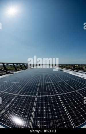 Solar Panels Photovoltaic Array // eine große Auswahl an Solar-Photovoltaik-Panels leuchtet unter hellem Sonnenlicht und zeigt die beeindruckende Größe moderner Solaranlagen. Diese präzise angeordneten Paneele wandeln reichlich Sonnenstrahlung effizient in saubere, erneuerbare elektrische Energie um, was die wachsende Rolle nachhaltiger Technologien bei der Erfüllung des globalen Energiebedarfs veranschaulicht. Stockfoto