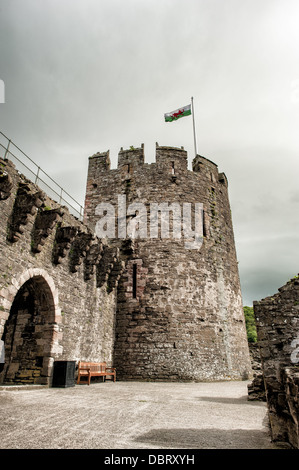 CONWY, Wales – die imposanten Türme von Conwy Castle, einer mittelalterlichen Festung aus dem 13. Jahrhundert, erheben sich vom Boden aus in Conwy, Nordwales, Großbritannien. Diese massiven Steintürme wurden von König Eduard I. während seiner Eroberung von Wales erbaut und veranschaulichen die fortschrittliche militärische Architektur dieser Zeit. Die Bodenperspektive betont die einschüchternde Präsenz und die Verteidigungsfähigkeit der Burg. Stockfoto