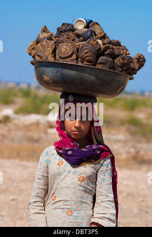 Eine Frau trägt ein Becken voller Kuhmist auf ihren Kopf am 27. Februar 2013 in Rajasthan, Indien. Stockfoto