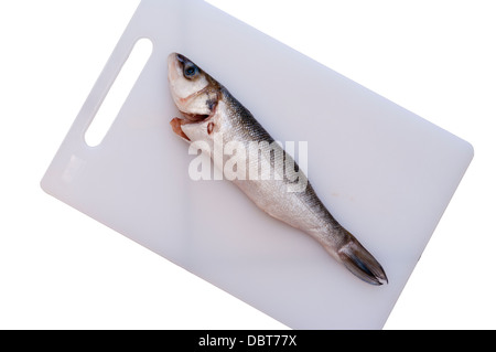 Frischer Wolfsbarsch filetiert Fisch Stockfoto