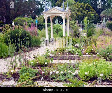 Hortus Botanicus botanischen Gärten Leiden Niederlande Stockfoto