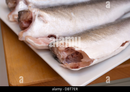 Wolfsbarsch frisch filetiert Fisch (geringe Schärfentiefe. Fokus auf Bodenfische) Stockfoto