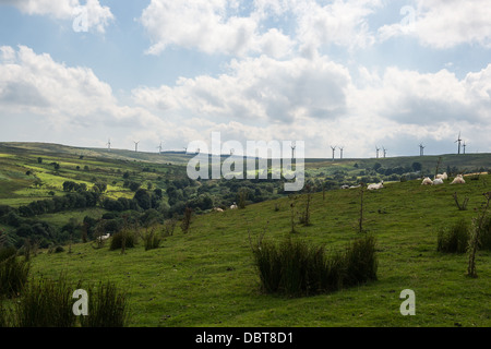 Carno Windpark auf trannon Moor, powys. Stockfoto