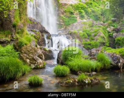 Wasserfall und Fluss in der Natur im Freien. Dieser Fluss wird als Belelle bezeichnet und befindet sich in Neda, Galicien, Spanien. Stockfoto