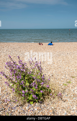 Whitstable Küste Meer Meer Meer Stockfoto