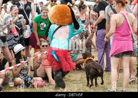 Hertfordshire, UK, 08.04.2013: Standon Calling Festival. Atmosphäre, ein Teilnehmer in einem Hund Kostüm "spielt", mit einem echten Hund nach einem Hund Wettbewerb.  Bild von Julie Edwards Stockfoto