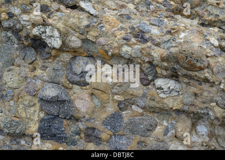 Konglomerat-Rock mit Sandstein und Kies, Carmelo Formation, Point Lobos State Natural Reserve, CA Stockfoto