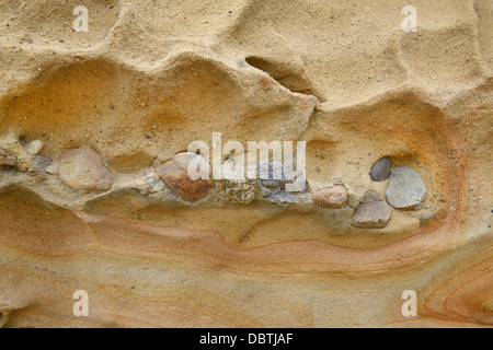 Konglomerat-Rock mit Sandstein und Kies, Carmelo Formation, Point Lobos State Natural Reserve, CA Stockfoto