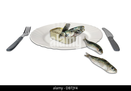 Sardinen in der Dose, einen Teller und Besteck isoliert auf weißem Hintergrund Stockfoto