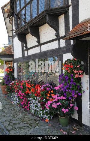 Bunte Blume anzeigen außerhalb der mittelalterlichen halbe Fachwerkhaus Weber Haus Biddenden Kent England UK Stockfoto