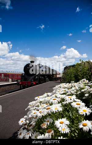 North Norfolk Railway Dampflok Stockfoto