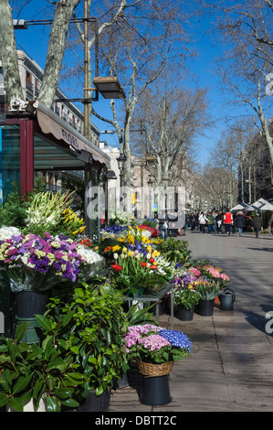 Blume-Stall auf Las Ramblas, Barcelona, Katalonien, Spanien, Europa Stockfoto
