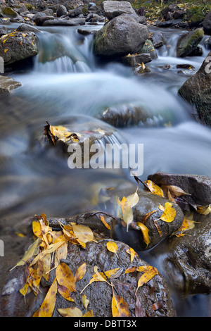 Kaskaden auf Big Bear Creek in den Herbst, San Miguel County, Colorado, Vereinigte Staaten von Amerika, Nord Amerika Stockfoto