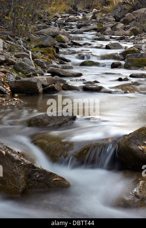 Kaskaden auf Big Bear Creek in den Herbst, San Miguel County, Colorado, Vereinigte Staaten von Amerika, Nord Amerika Stockfoto