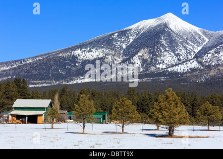 San Francisco Peak, Flagstaff, Arizona, Vereinigte Staaten von Amerika, Nordamerika Stockfoto