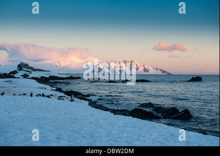 Sonnenuntergang in Half Moon Bay, Süd-Shetland-Inseln, Antarktis, Polarregionen Stockfoto