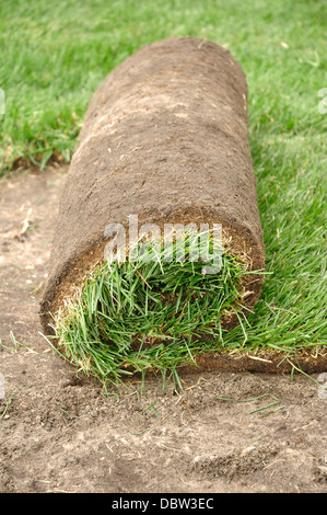 Verlegung neuer Rasen Rasen Rasen Stockfoto