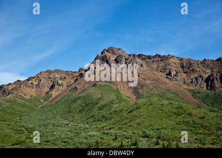 Alaskas Denali National Park Stockfoto