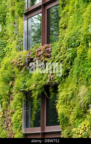 Vertikale Garten, Musée du quai Branly, Paris, Frankreich. Design: Patrick Blanc Stockfoto