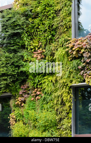 Vertikale Garten, Musée du quai Branly, Paris, Frankreich. Design: Patrick Blanc Stockfoto