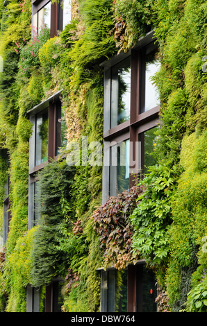 Vertikale Garten, Musée du quai Branly, Paris, Frankreich. Design: Patrick Blanc Stockfoto