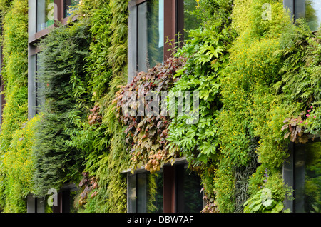 Vertikale Garten, Musée du quai Branly, Paris, Frankreich. Design: Patrick Blanc Stockfoto